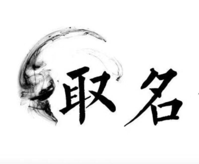  子长宝宝取名 大师一对一人工起名